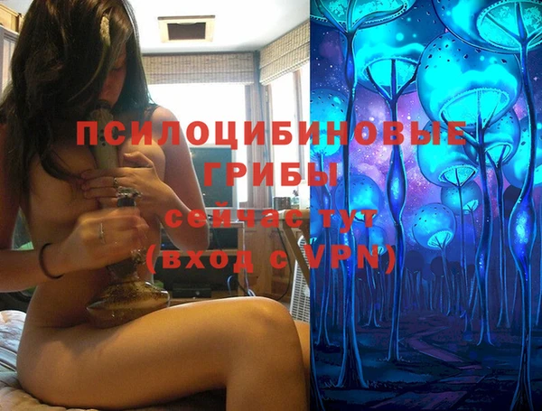 метадон Сафоново