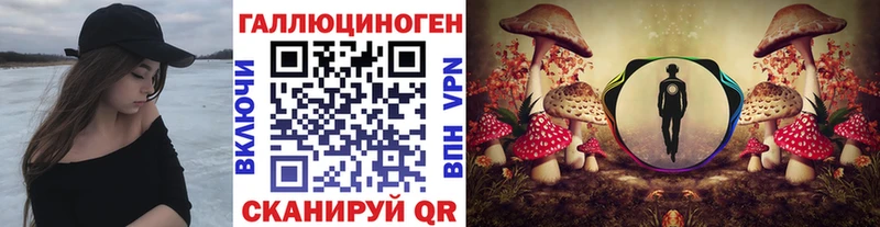 Галлюциногенные грибы Psilocybine cubensis  Купить  Тольятти 